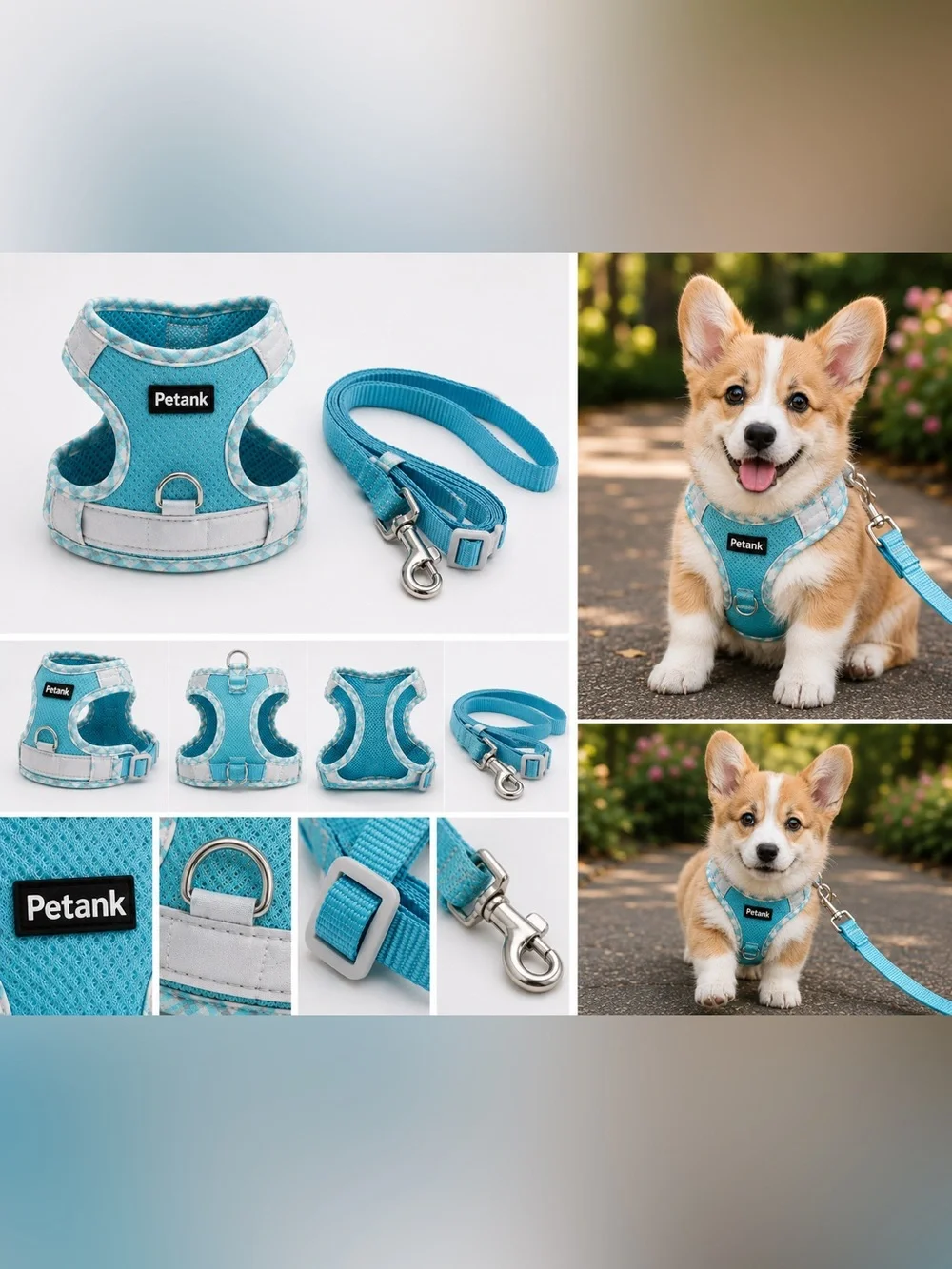 Brand New Petank Soft Mesh Puppy harness and leash set - small breed dogs